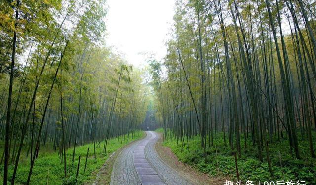 《卧虎藏龙》取景地：原来是夏季旅游好地方，杭州坐公交就能直达