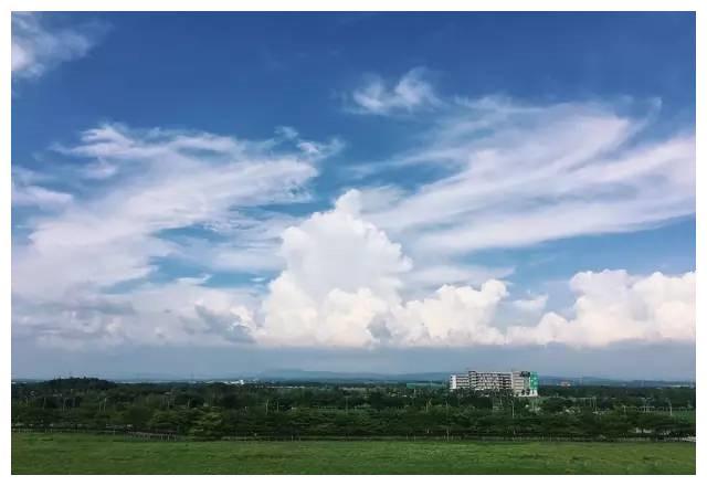 岛乡民宿：清水混凝土“仙居”