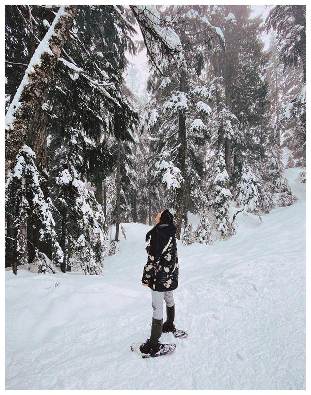 钟丽缇女儿晒雪地行走照片，穿滑雪服一头长发温柔美丽