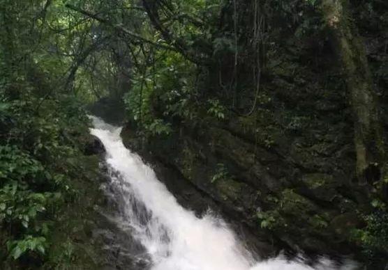 上高南港监里银矿古道，发现一处绝美瀑布