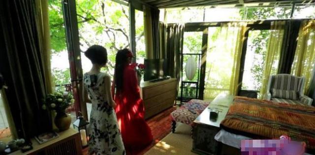 晒晒杨丽萍的豪宅月亮宫，把卧室盖在树里，落地窗四面被森林包围