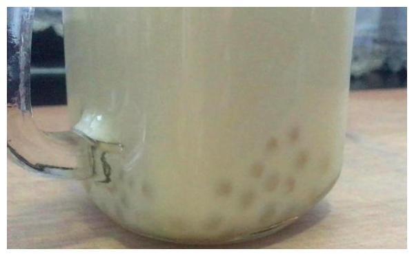 早餐喝牛奶，不如再加上这两步，就能喝到一杯真正的珍珠奶茶了