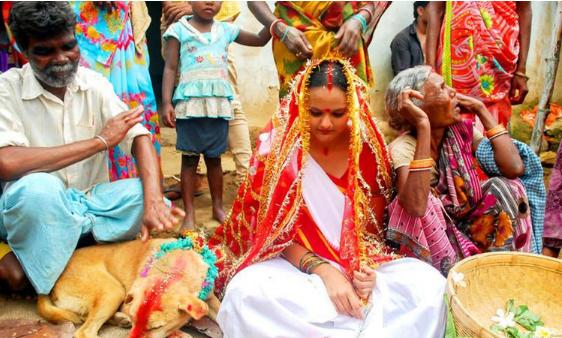 难以置信的印度传统：不祥人与赎罪者，要跟动物结一次婚