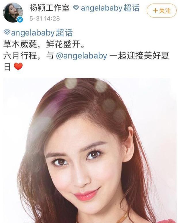 Angelababy工作室晒六月行程表，工作安排得十分充实