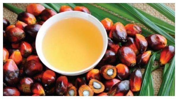 麦当劳肯德基炸鸡用的是什么油？这油可以做肥皂，炸完那叫一个香