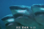 末世来袭,海底变异生物来袭