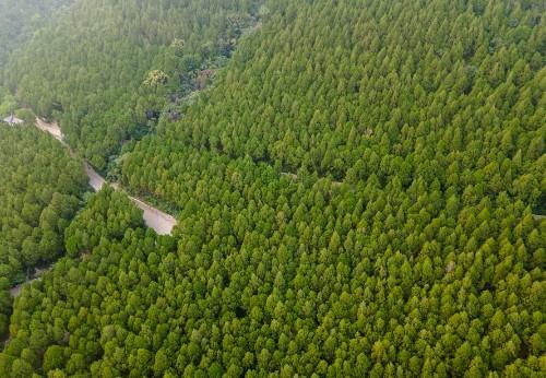 无人机航拍济南佛慧山，茂密的森林绿意盎然，一座天然的城市氧吧