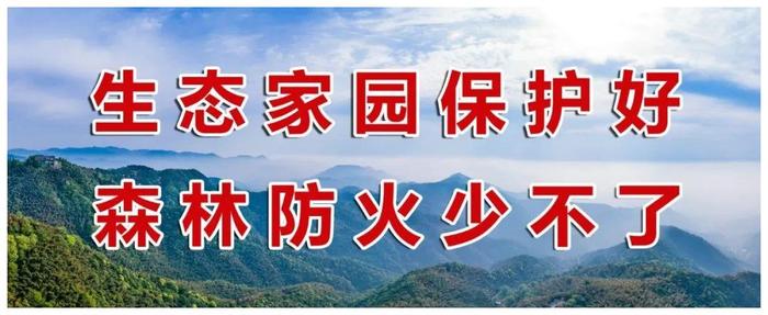 夹金山村民徒步30公里开启放牧季，牛群涉水过险滩场面惊险