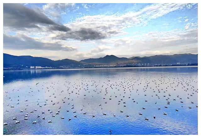 云南最大淡水湖泊，面积在不断减小但景色仍美丽，今吸引游客无数