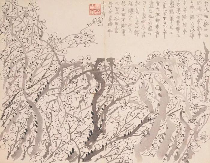 清朝九大名家的花鸟山水画，异彩纷呈