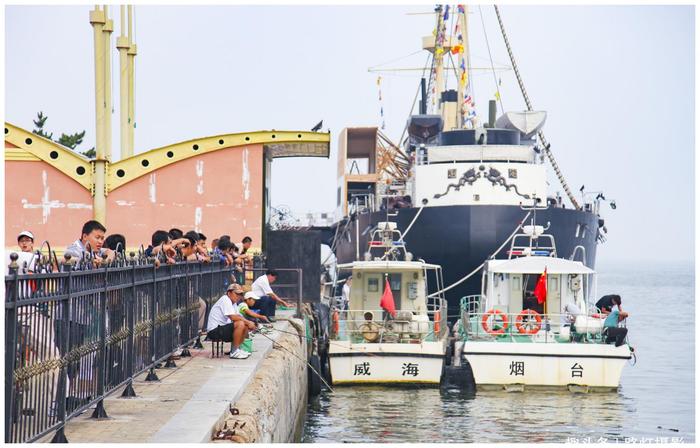 山东半岛最后一片黄金海岸，金沙银滩，海鸥翩舞，真正的世外桃源