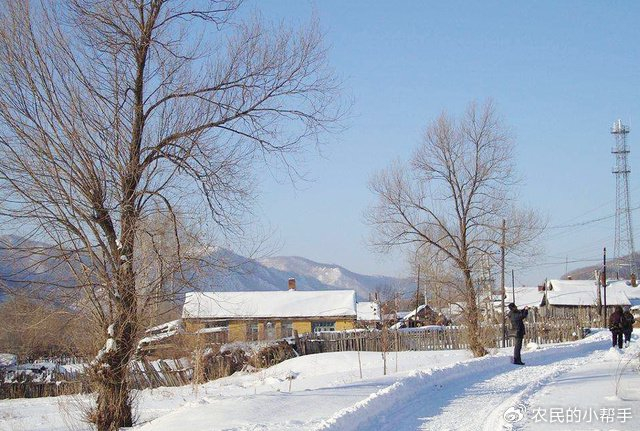 今年冬天那么热,假如来一次大规模火山喷发,会更热还...