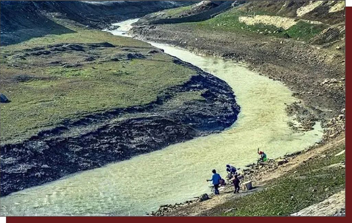 为什么单身主义者越来越多？根本原因是人们越来越聪明了