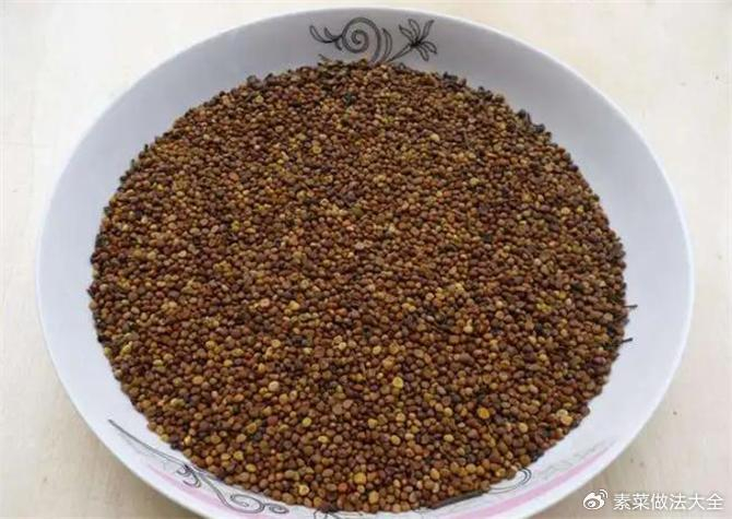 [转载]【原创】读诗人xlwushi《菟丝子》有感