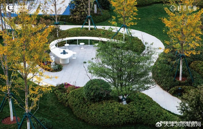 天津楼市,从未出现过这样的“神级交付现场”!|园林|绿城|实景图|晓风|业主_新浪新闻