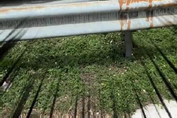 今天来了一辆超够力的改装车！号称优雅车阿斯顿马丁 Vantage！