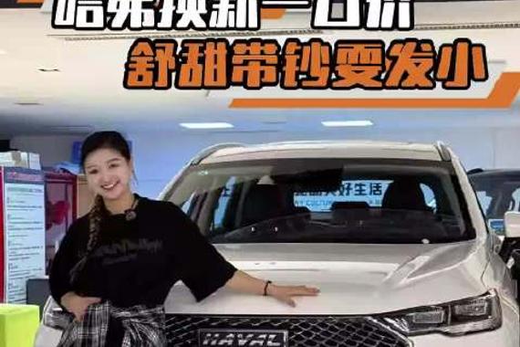 哈弗换新一口价，兄弟们更喜欢哪一款呢？