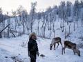 西伯利亚的寂静呼声：苔原景观何去何从？