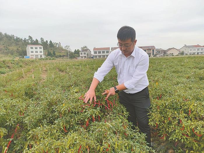 加盟粥店排行榜_二、系统工程是科学方法,即使一颗螺丝钉也有系统工程.