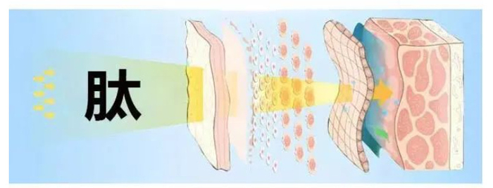 做好这四个健康小习惯！可以养颜抗衰老！
