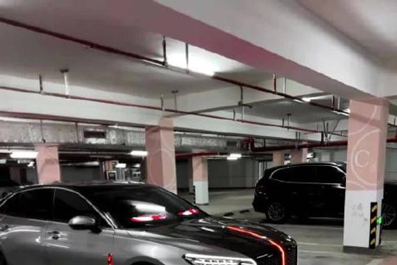 满血复活 气场全开 红旗h5