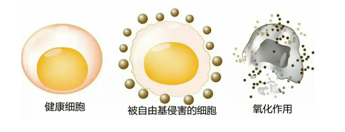 做好这四个健康小习惯！可以养颜抗衰老！