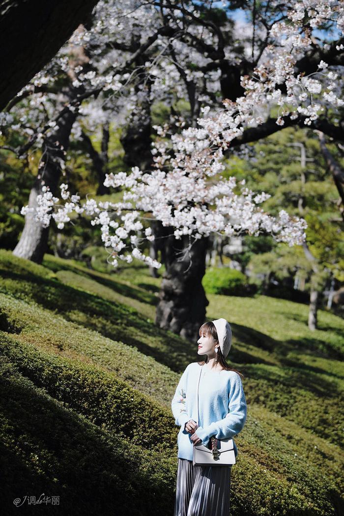 【日本】最全东京樱花实拍指南，纪念平成年最后的樱花季