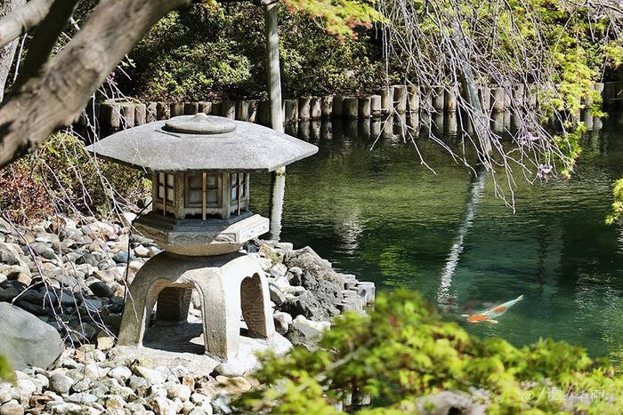 【日本】最全东京樱花实拍指南，纪念平成年最后的樱花季