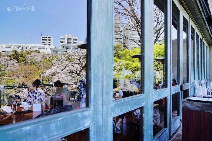 【日本】最全东京樱花实拍指南，纪念平成年最后的樱花季