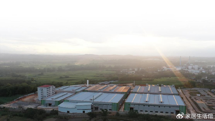 颠覆认知!华思木业让无胶水的实木多层板成为现实!