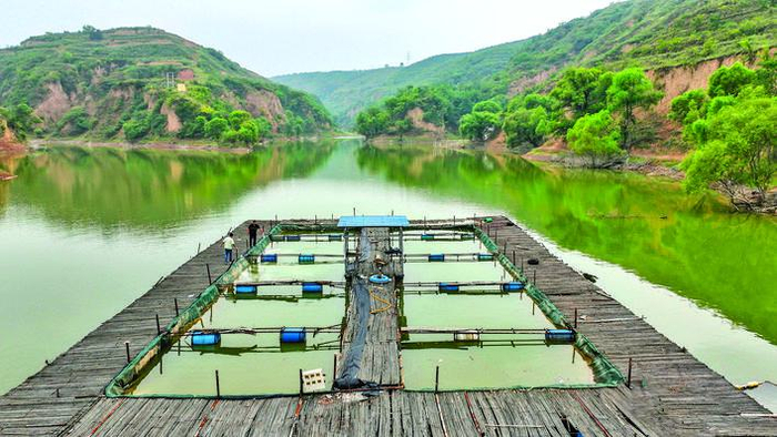 鸭嘴鱼 谱写“南鱼北养”新篇（鸭嘴鱼在哪个水层）