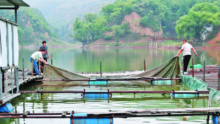 鸭嘴鱼 谱写“南鱼北养”新篇（鸭嘴鱼在哪个水层）