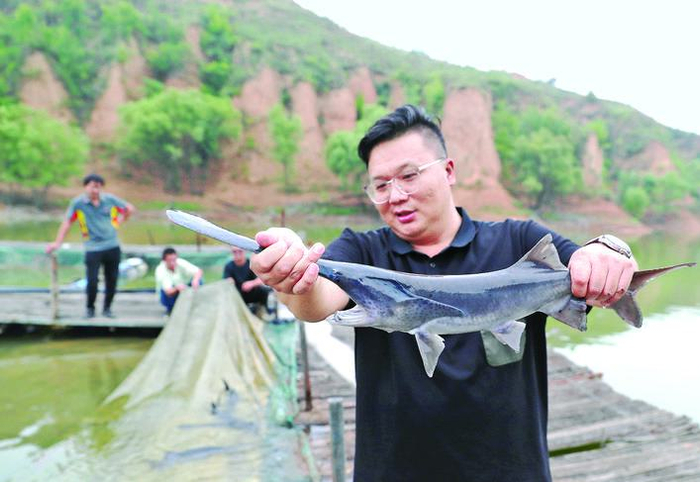 鸭嘴鱼 谱写“南鱼北养”新篇（鸭嘴鱼在哪个水层）