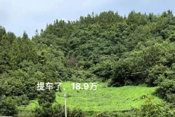 22岁青年18.9万提奥迪A4L低配