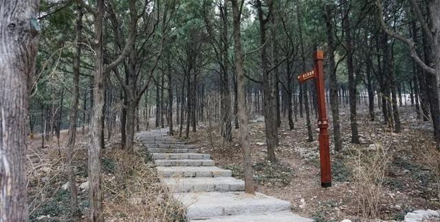 寻古迹的莲莲：北魏到北宋的时光讯息，佛慧山寻石窟