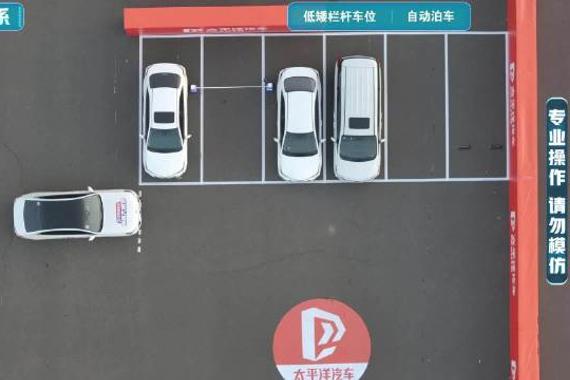 【2025智能辅助驾驶大横评】自动泊车-低矮栏杆车位-宝马5系