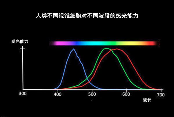 探索色彩的能量影响