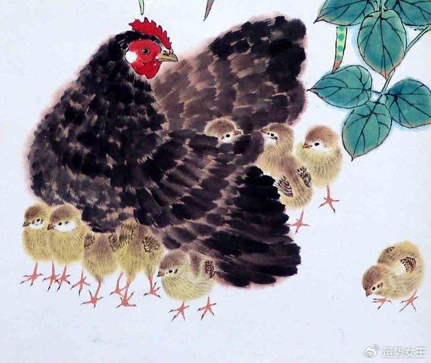 职场上积极表现，赚钱从来不少，年底越来越兴旺的四个生肖