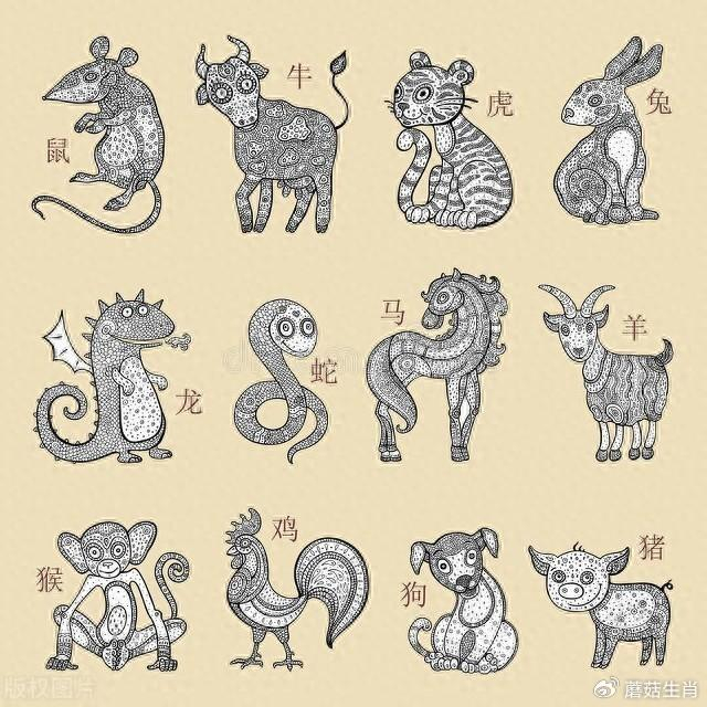 年轻不富老来富的3大生肖，晚年最不缺钱，子女又孝顺