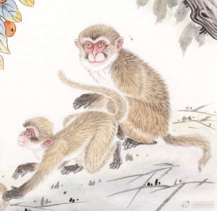 属相排行榜_2023年(10月31日)十二生肖运势排行榜(2)