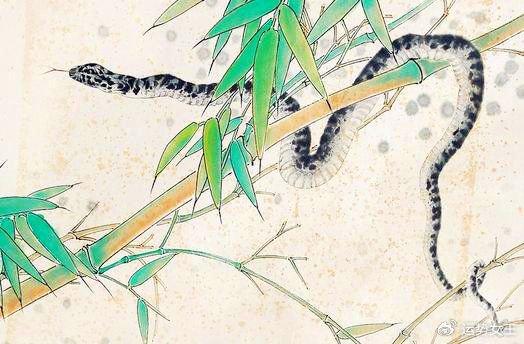 排行生肖_2024年3月财运最旺最顺的生肖排名第一属鼠人