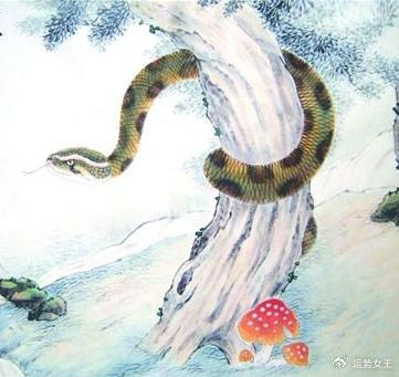 生肖排行_2024年3月财运最旺最顺的生肖排名第一属鼠人(2)