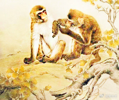 哪4个生肖的女人，性格乐观好学，赚钱路上胜过同龄人