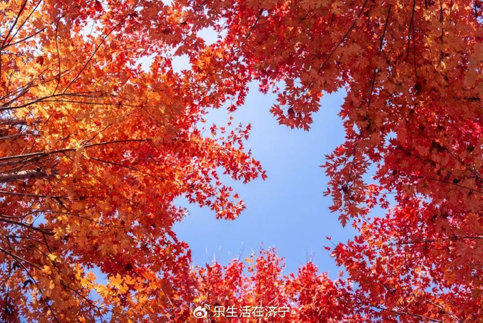 w700d1q75cms.jpg?by=cms_fixed_width