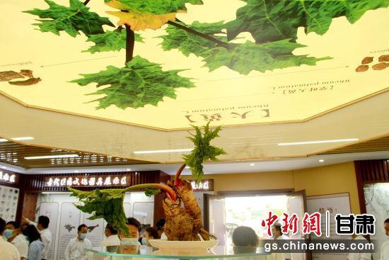 马致富临沂_致富经马_马致富画家简介图片