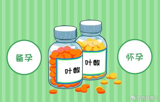 对机体健康非常重要。小小的叶酸有着大大的作用，一旦缺乏，会增加多种疾病风险。