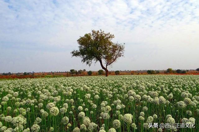 2022年新词都出来了，句句经典，字字犀利（精辟！）孔子学堂