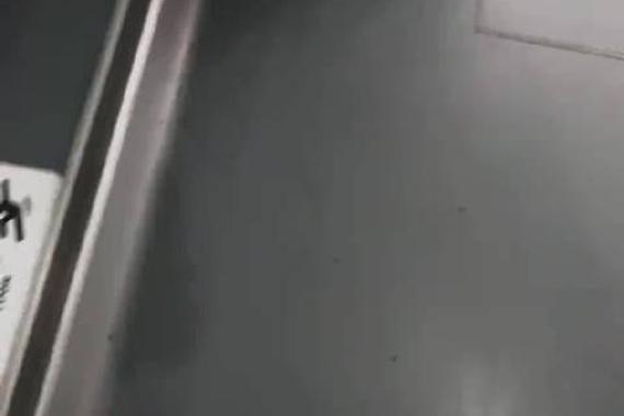 看了很久还是不腻
