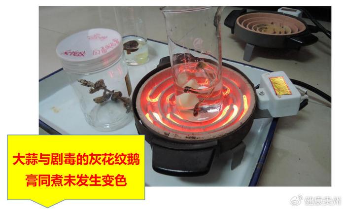 民间方法辨别野生蘑菇？别信，每一条都可能致命！