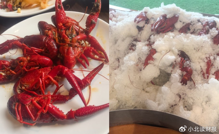 龙虾吃什么东西还能养活 w700d1q75cms.jpg